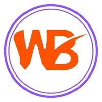 Webtoun logo - Similar company to Valebridge Technologies Llc
