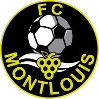 FC Montlouis logo - Similar company to Stade Olympique De Châtellerault - Soc