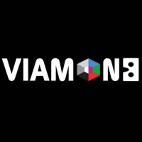 Viamond Tech logo - Similar company to Bournix