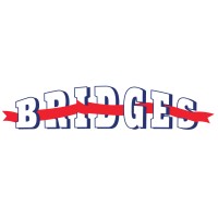 BRIDGES - Connecting Military Sisters logo - Similar company to Disability Help Group
