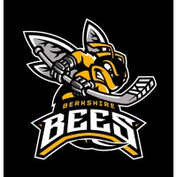 TSI WORLD BERKSHIRE BEES logo - Similar company to Tri Computers