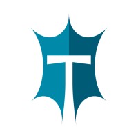 Temno logo - Similar company to Elecdan