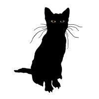 Stray Bombay Company logo - Similar company to Messhof Llc