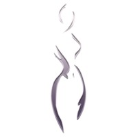 The Aesthetic Centers logo - Similar company to Latitude Physiotherapy