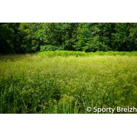 SPORTY BREIZH COMMUNICATION logo - Similar company to Edyta Tolwinska - Photographe Auteur Entreprise Art 25 Ans D'Experience