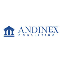 Andinex Consulting logo - Similar company to Tesis A1