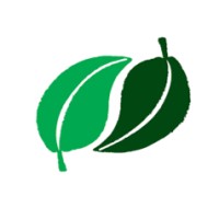 Diálogo Florestal logo - Similar company to Instituto Floresta Tropical Johan Zweede - Ift