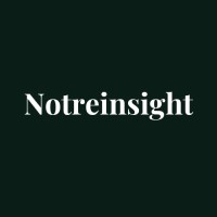 Notreinsight consulting logo - Similar company to Customer Labs