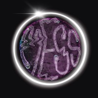 Mess Mag logo - Similar company to Ifox