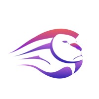 Lionprox logo - Similar company to Saal Digital