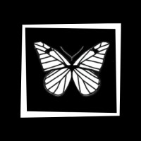Zero Day Engineering logo - Similar company to Stealth Security