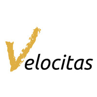 Velocitas - Consultoria de gestão logo - Similar company to Evidenz It