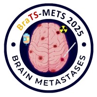 BraTS-METS 2025 Lighthouse Challenge logo - Similar company to Miccai Society