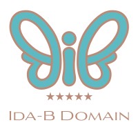 IDA-B DOMAIN logo - Similar company to Sabai Sabai™