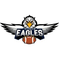 Dammam Eagles logo - Similar company to Venturi Tools