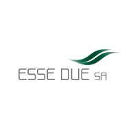 Esse Due S.A. logo - Similar company to Informatica Esse