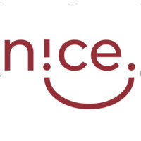 NICE POWER logo - Similar company to Hbenchmark