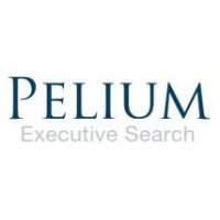 PELIUM Executive Search logo - Similar company to Pelium