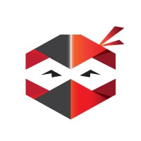 CyberNinja logo - Similar company to Cyber Ninjas