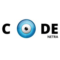 CodeNetra logo - Similar company to Codingrad