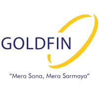 GoldFin Limited logo - Similar company to The Alpha'S Digital