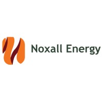 Noxall Energy (Pty) Limited logo - Similar company to Alexfasteners Co.