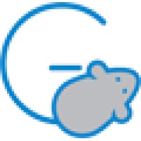 Greymouse Global logo - Similar company to Greymouse India