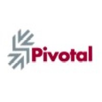 Pivotal Capital Advisory Group logo - Similar company to Crbon Labs