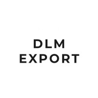 DLM Export Pvt Ltd logo - Similar company to Bewigs Export Pvt Ltd