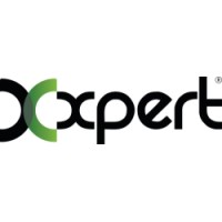 Xpert Systems Shpk logo - Similar company to 2D Diamond
