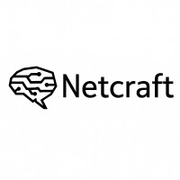 Netcraft LLC logo - Similar company to Stonesbridge Engineering