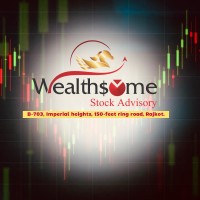 Wealthsome Stock Advisory logo - Similar company to Chartered Professor