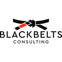 BlackBelts Consulting logo - Similar company to Black Belt Secure