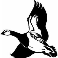 British Waterfowl Association logo - Similar company to Urban Brewing