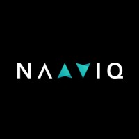 NaaviQ logo - Similar company to Warex