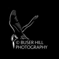 Buser Hill Photography