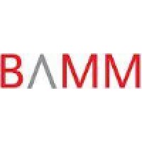 BAMM Staffing logo - Similar company to Kore1