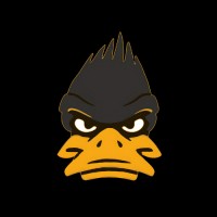 TECHDUCK logo - Similar company to Redduck