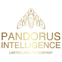 Pandorus Intelligence, LLC logo - Similar company to Tangibleiq