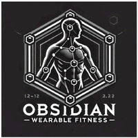 Obsidian Performance Gear logo - Similar company to Outer Rim Exploration (Ore)