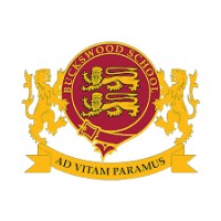 Buckswood Football Academy logo - Similar company to Park To Pro Ltd