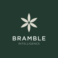 Bramble Intelligence logo - Similar company to Bramble Partners