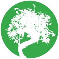 Komorebi Graphic Design