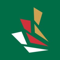 Italian International School Abu Dhabi logo - Similar company to Marymount High School
