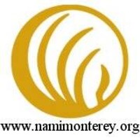 NAMI MONTEREY COUNTY logo - Similar company to Beyond Coursework