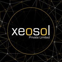XEOSOL logo - Similar company to Brightbyte Creations