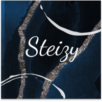 STEIZY logo - Similar company to Valinnov