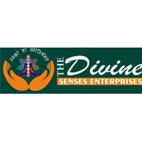 The Divine Senses Enterprises logo - Similar company to Unaccc News Web Tv