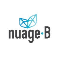 Nuage B logo - Similar company to Tsic Solutions Inc.