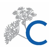 Caraway Capital logo - Similar company to Delta Sigma Pi - Rho Sigma Chapter